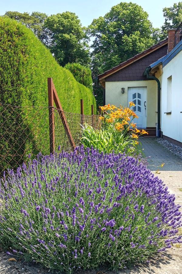 Fewo Albrecht In Metschow Borrentin Exterior photo